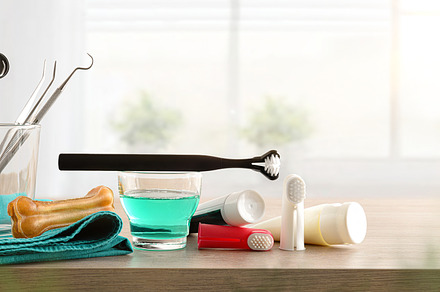 Products for cleaning canine teeth on wooden table window backgr, an Animal Photo by Davizro's Market