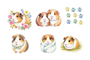 Watercolor Guinea Pigs Clipart, an Animal Illustration by BerryPieArt (Thumbnail 2 of 4)