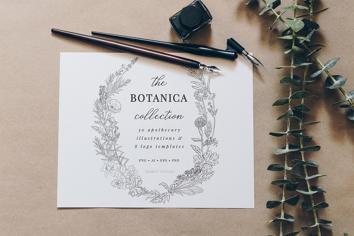 Botanical Apothecary Clipart & Logos, a Healthcare Illustration by BirDIY Design