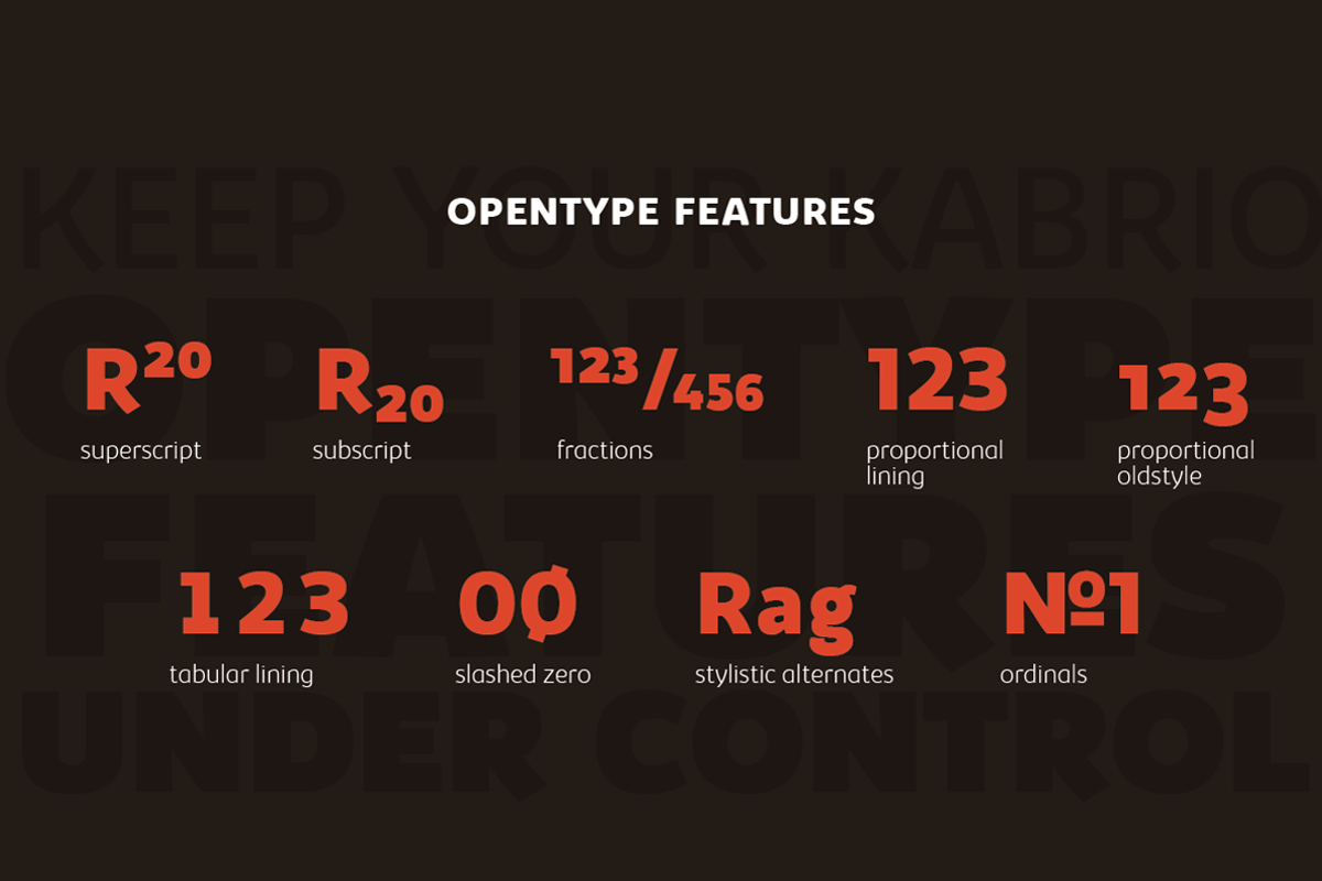 Kabrio - 56 Fonts, a Sans Serif Font by Zetafonts (Photo 8 of 11)