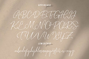 Bestia | Signature Font, a Script Font by Denustudios (Thumbnail 10 of 14)