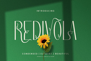 Redivola Typeface, a Sans Serif Font by alit design