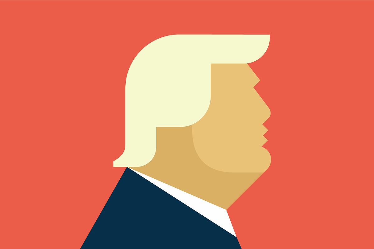 Donald Trump vector flat portrait, a Person Illustration by Milk Design