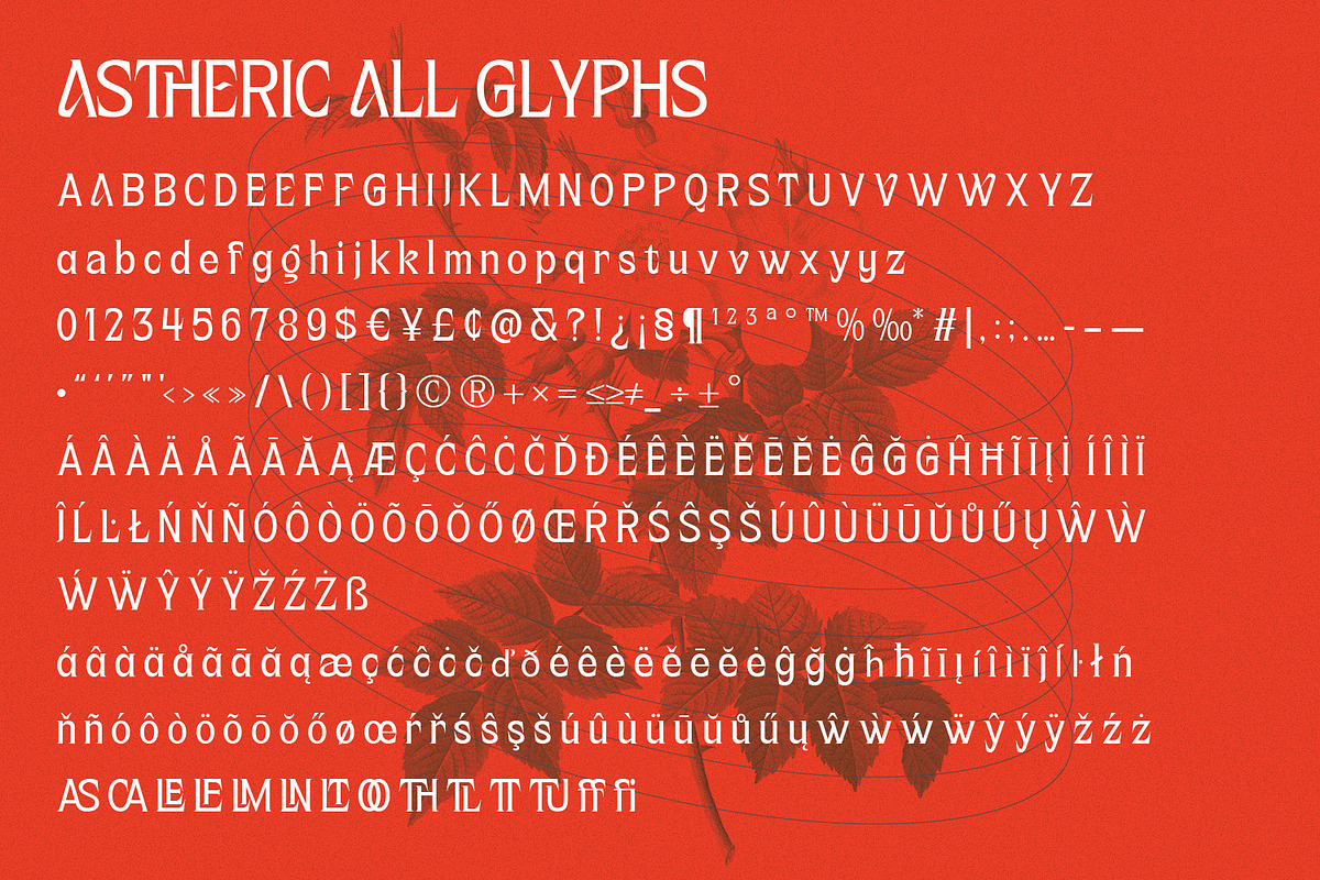 Astheric – Modern Ligature Serif, a Serif Font by Variatype (Photo 10 of 10)