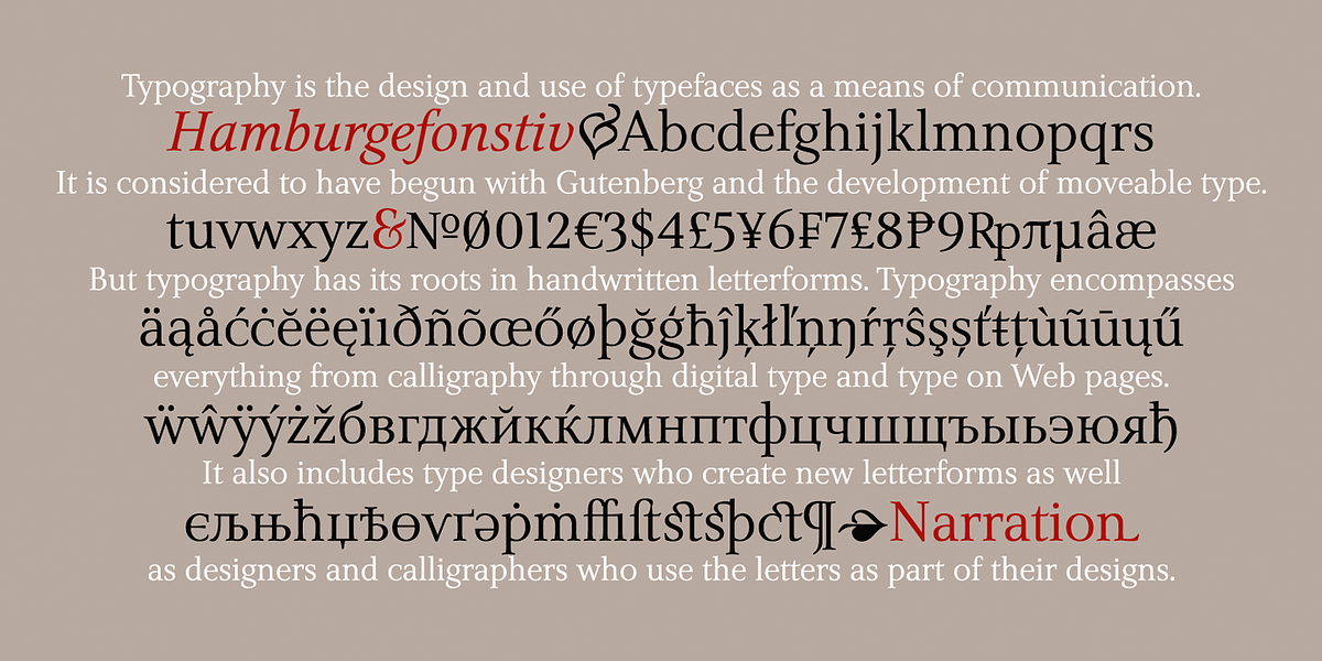 Narration, a Serif Font by PESIC (Photo 3 of 8)