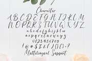 Anythings - Calligraphy Font, a Script Font by StringLabs (Thumbnail 10 of 11)