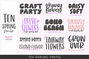 JOYFUL SPRING Brush Font Bundle, a Font by Blush Font Co. (Thumbnail 2 of 14)