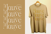 Aska Modern Elegant Serif Font, a Serif Font by timelesstype.co (Thumbnail 4 of 20)