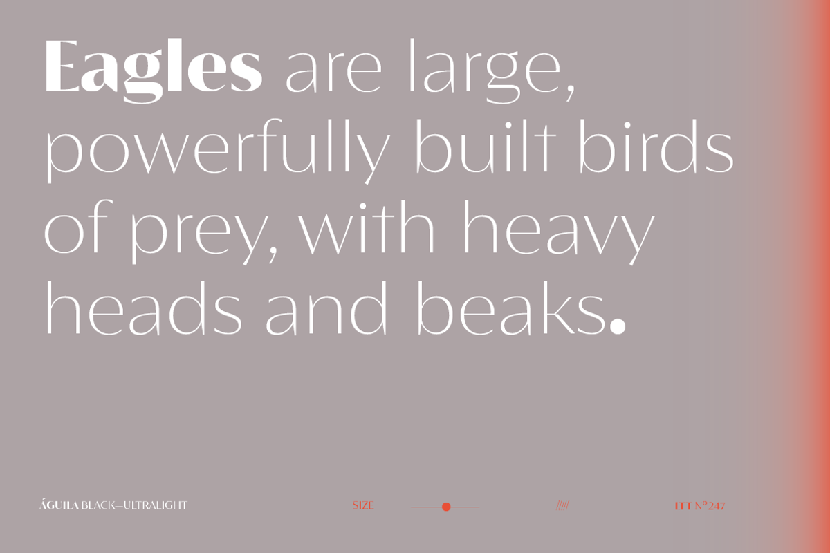 Águila, a Sans Serif Font by Latinotype (Photo 12 of 15)