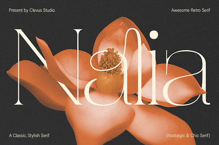 Eyana | Elegant serif, a Serif Font by ClevUs