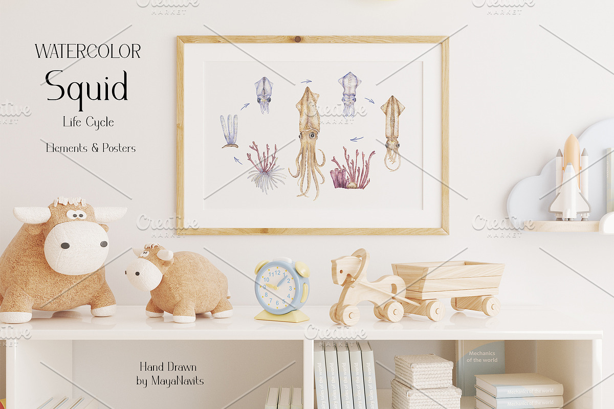 Watercolor Squid Life Cycle Set, an Education Illustration by MayaNavits (Photo 6 of 8)