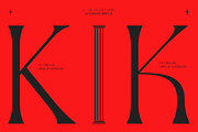 GC Chillon - Stylish Serif Display, a Serif Font by Glyphonic (Thumbnail 6 of 15)