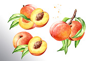 Honey Peaches. Original Watercolor, a Food Illustration by Daria Ustiugova (Thumbnail 12 of 21)