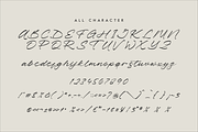 Pharellia Redusha A Modern Script, a Script Font by Storytype Studio (Thumbnail 13 of 15)