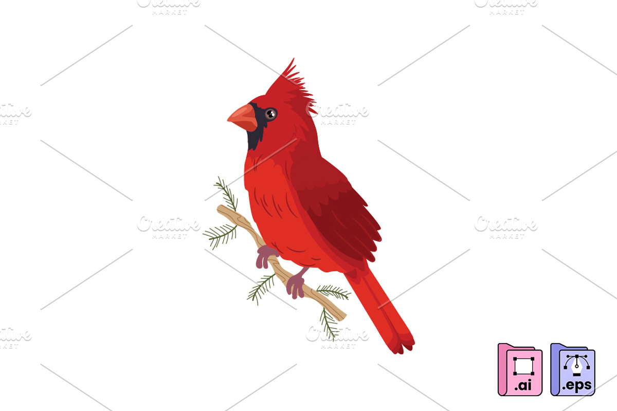 Hand Drawn Cardinal Illustration, an Animal Illustration by MISS CHATZ (Photo 3 of 3)