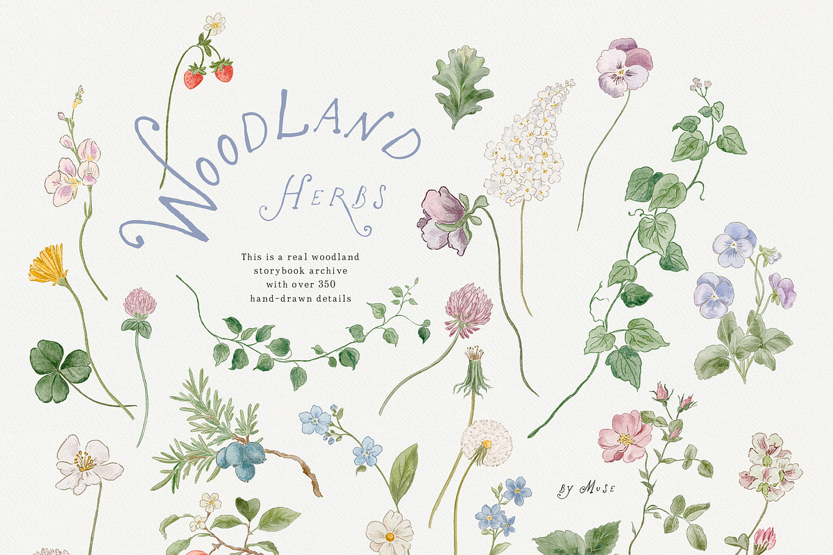 Bramblewood Tales Woodland Clipart, a Decorative Illustration by Muse Artist (Photo 7 of 29)