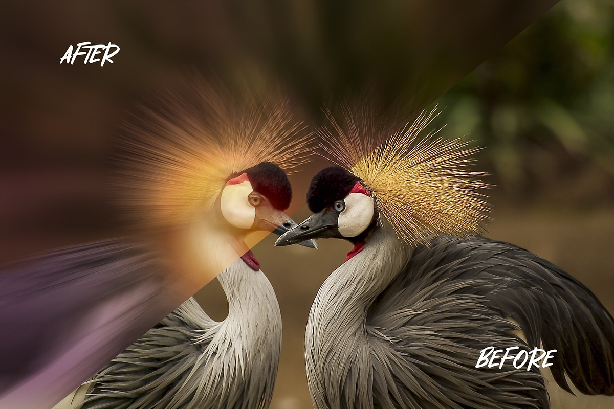 Zoom Burst Photo Effect, a Layer Style Add-On by WudelMbois Studio (Photo 2 of 3)