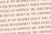 Melondy Modern Stylish Serif, a Serif Font by Storytype Studio (Thumbnail 9 of 15)