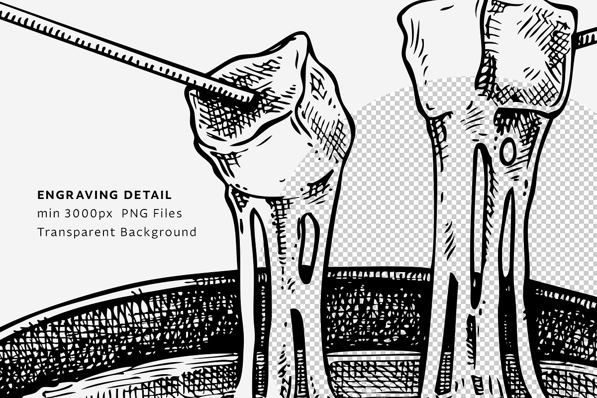 European Food & Drinks Illustrations, a Food Illustration by Yevheniia (Photo 6 of 8)