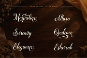 Lovenaliana, a Script Font by Ginart (Thumbnail 2 of 10)