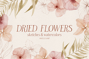 Dried flowers watercolor graphics