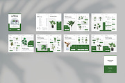 Botanic | Catalog Brochure Template, a Brochure Template by Spark_Creative (Thumbnail 12 of 12)