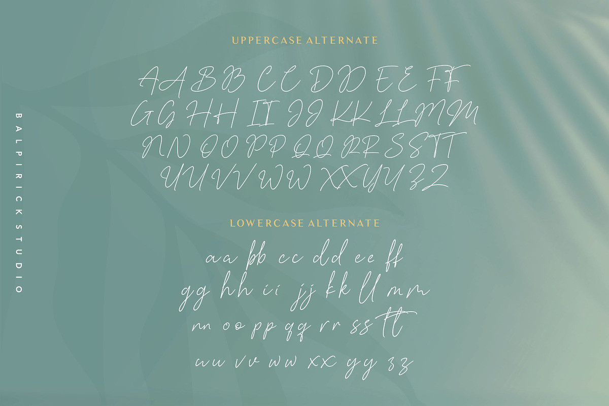 Baldive - a Signature Monoline Font, a Script Font by Balpirick Studio (Photo 7 of 8)