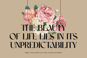 Marlon Elegant Serif Font Typeface