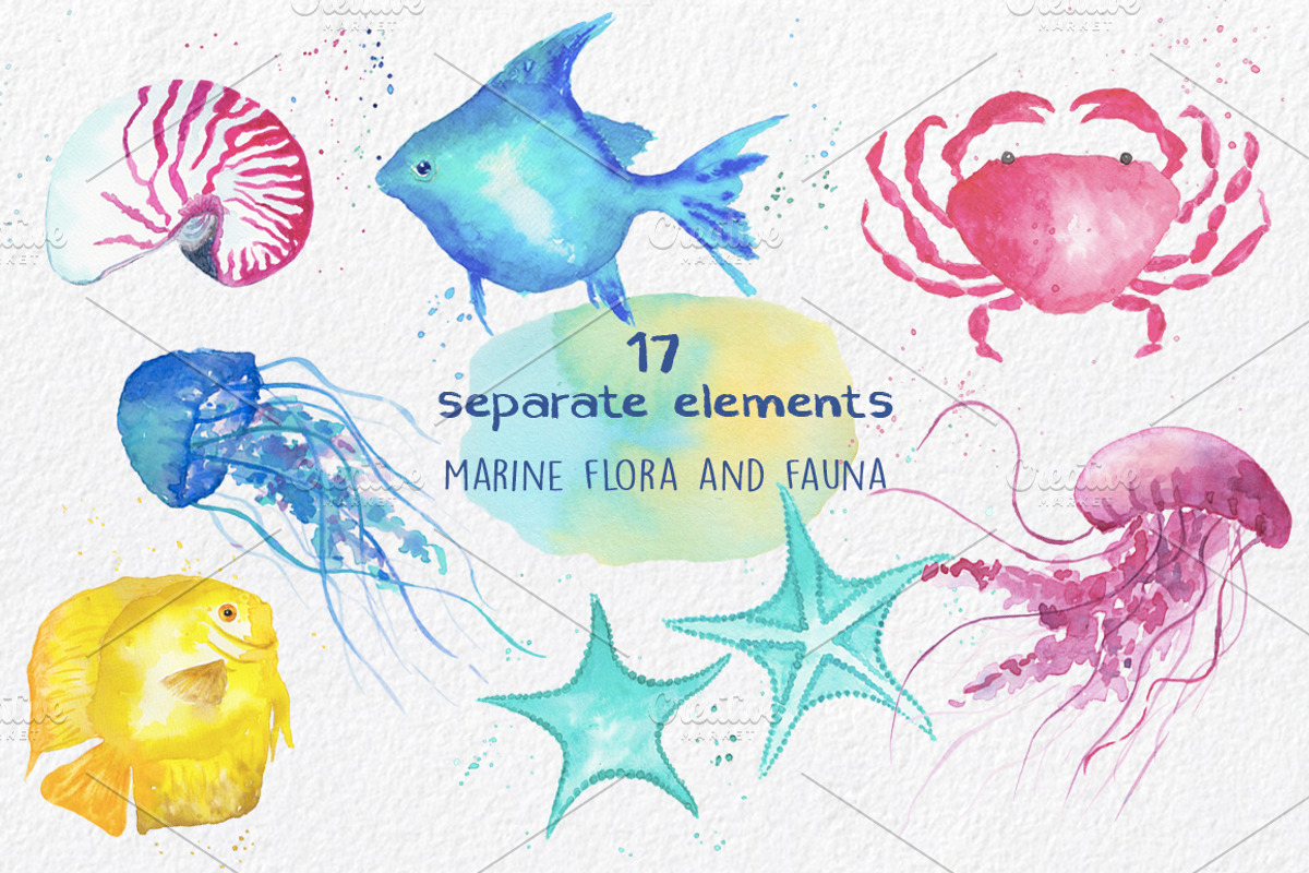 Underwater Life ClipArt Watercolor, an Animal Illustration by MaraquelaStudio (Photo 2 of 6)