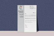 Professional Resume Template, a Resume Template by BrandlyTemplate (Thumbnail 3 of 3)
