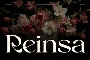 Reinsa - Elegant Modern Logo Font