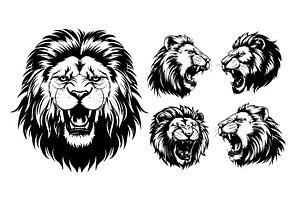 Lion angry feline black ink drawing, an Animal Illustration by Valerie Bodnar