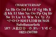 Safena || Modern Classy Serif Font, a Font by Ermedia Studio (Thumbnail 10 of 10)