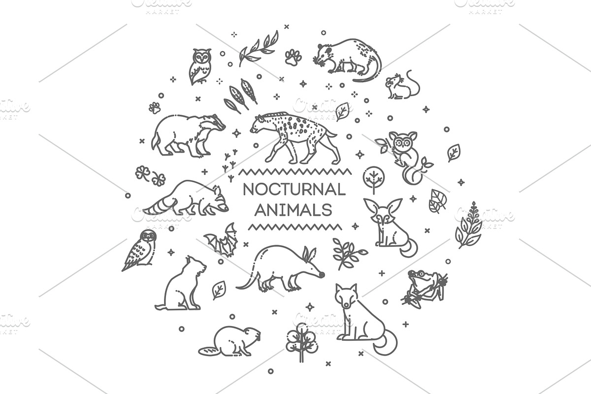 Forest wildlife animals, an Animal Illustration by Tettygreen