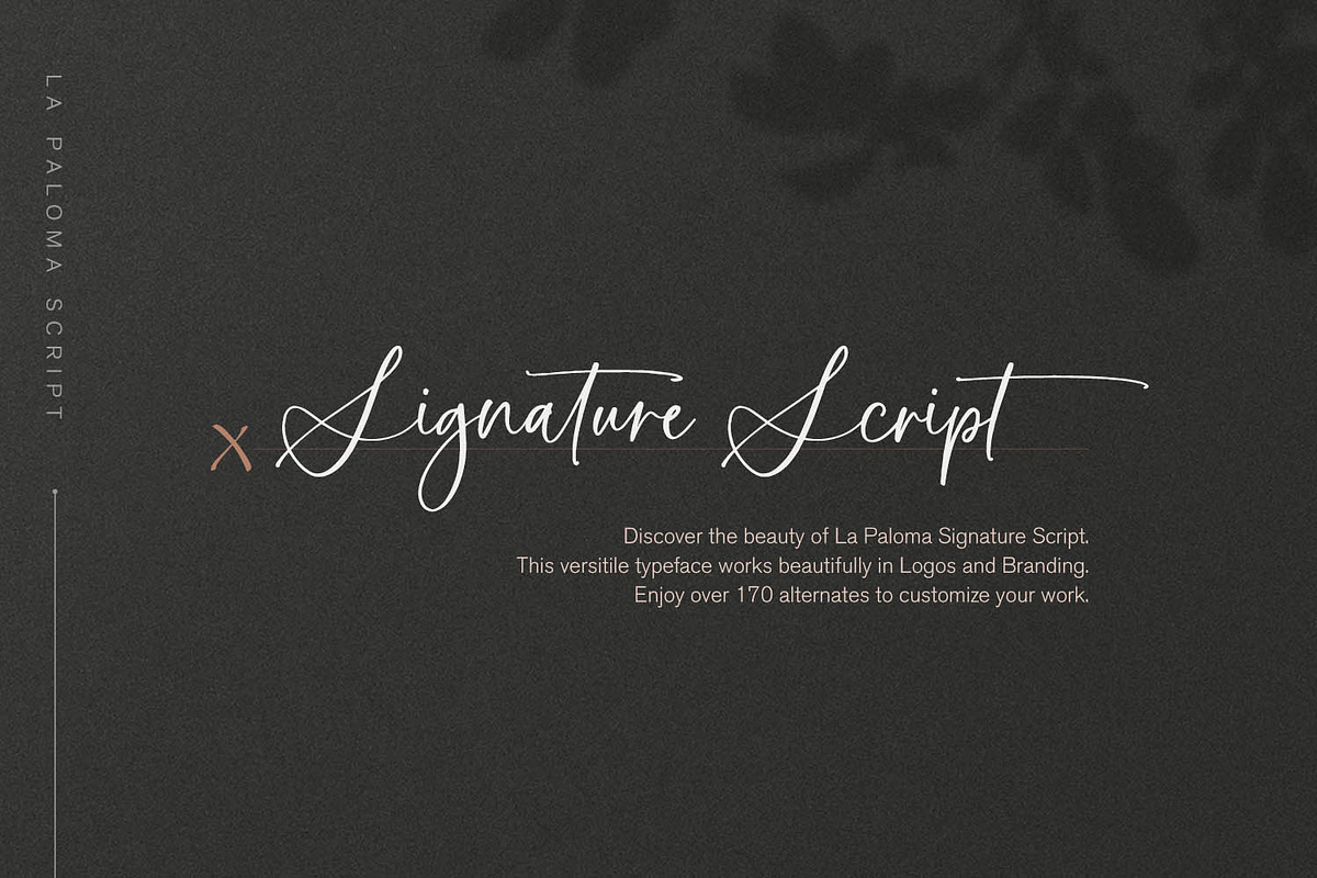 La Paloma Script + Catchwords, a Script Font by Callie Rian & Co. (Photo 7 of 21)