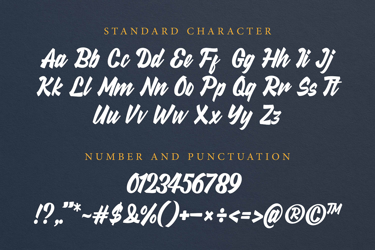 Starlyn - Stylish Script Font, a Font by Gumrega Studio (Photo 5 of 6)