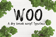 WOO Dry Brush Script Typeface, a Sans Serif Font by PARAMAJAN (Thumbnail 1 of 7)