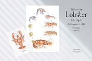 Watercolor Lobster Life Cycle, an Education Illustration by MayaNavits (Thumbnail 2 of 7)