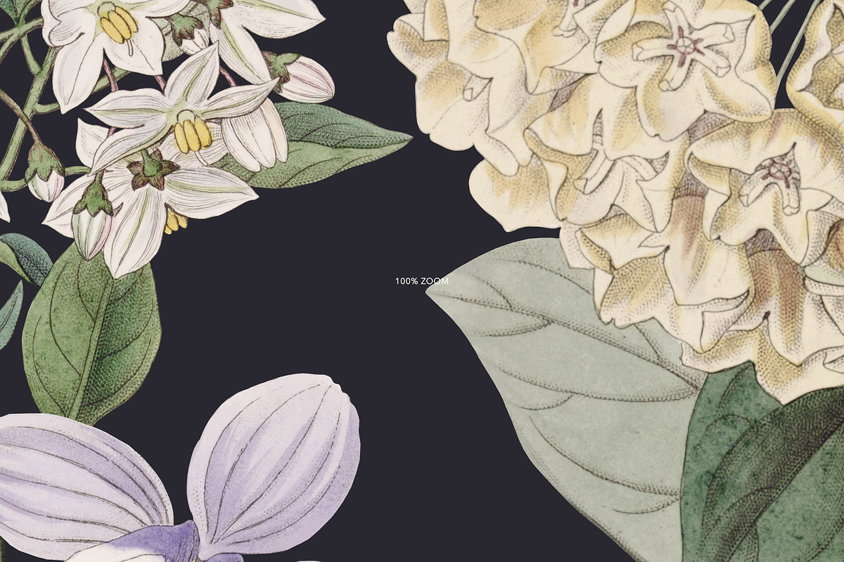 Pastel Botanical Pattern and Plants, a Pattern Graphic by likorbut (Photo 10 of 11)