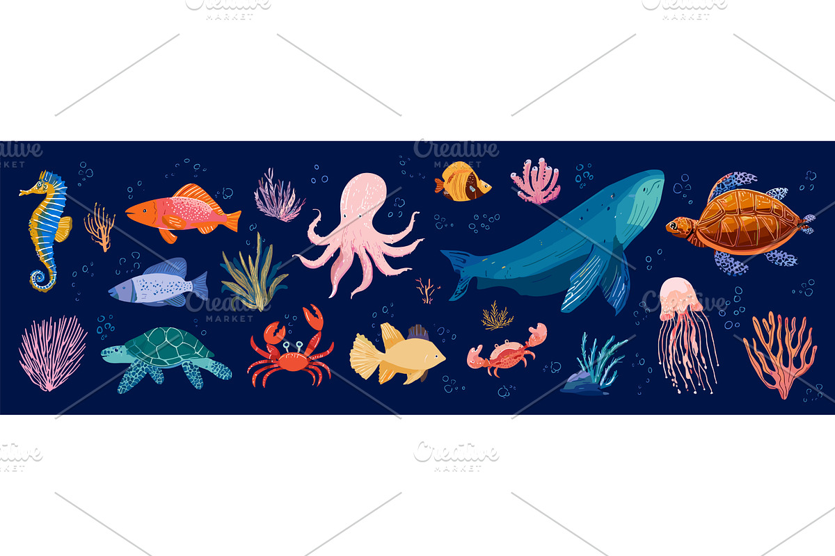 Underwater creatures. Undersea, an Animal Illustration by Stock-Smart-Start