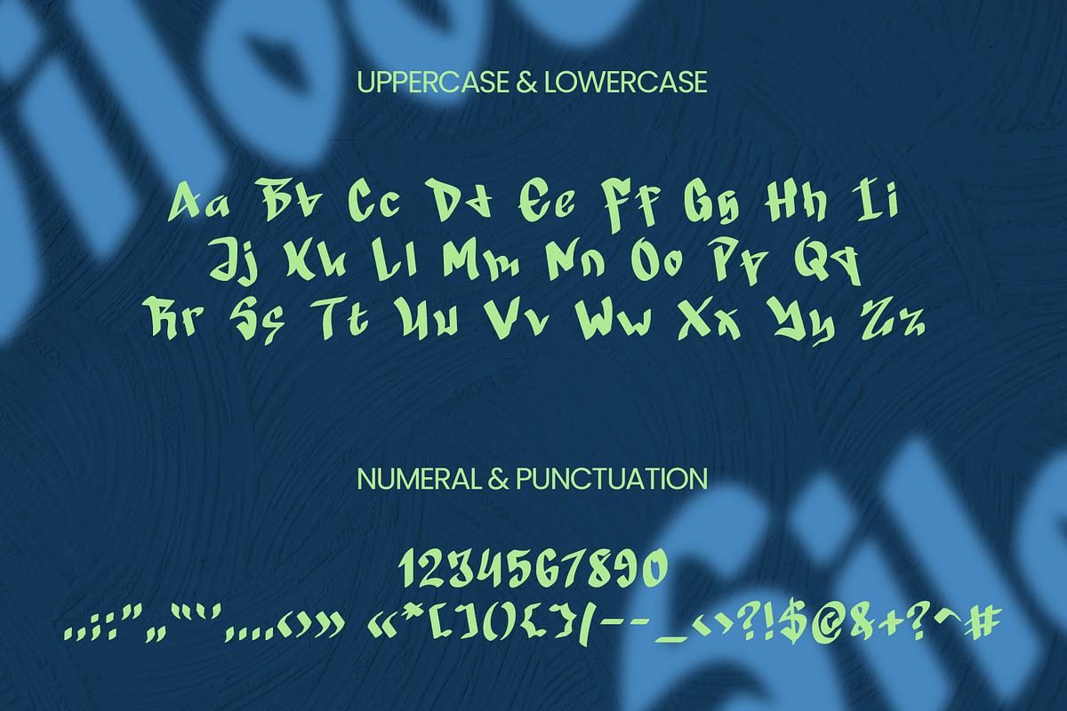 Silooc - Graffiti Font Type, a Script Font by ArtiXLabs (Photo 10 of 11)