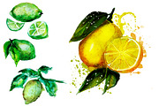 watercolor lemons, a Food Illustration by art_mouse (Thumbnail 3 of 6)