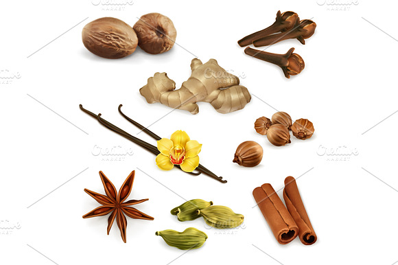 Spices Vector Icons