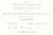 Lisandra A Modern Font Serif, a Serif Font by Storytype Studio (Thumbnail 13 of 15)