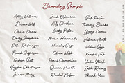 Boutegard Classy Signature, a Script Font by Typenations (Thumbnail 14 of 16)
