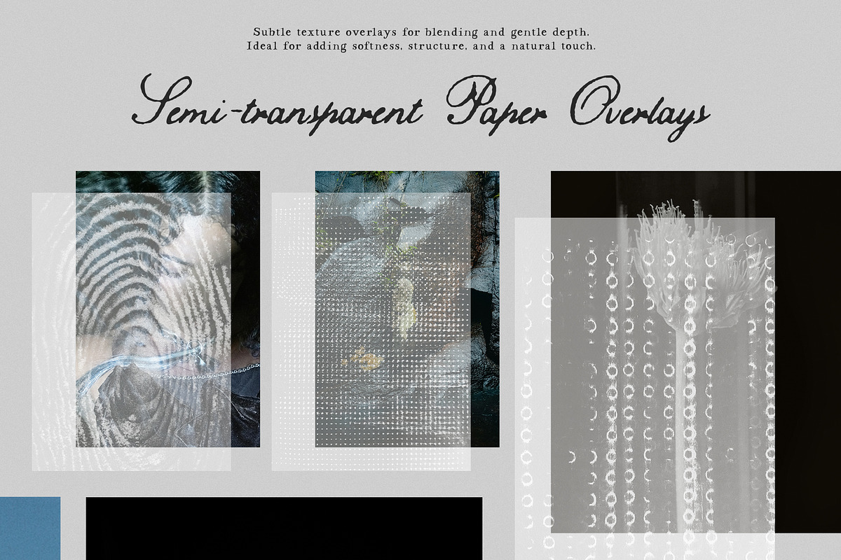 Raw Organic Texture Archive, a Texture Graphic by Purple (Photo 11 of 14)