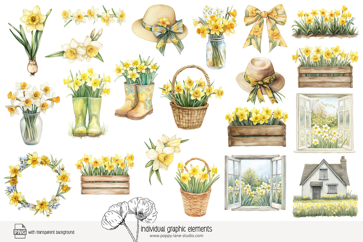 100 watercolour daffodil clip art, a Seasonal Illustration by Poppy Lane Studio (Photo 10 of 12)