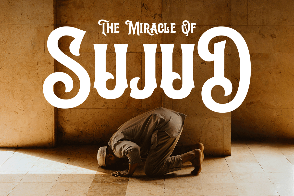 Arcane Grove - Vintage SerifTypeface, a Serif Font by overlaytemplates (Photo 5 of 8)