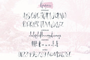 Gorgeous Typeface, a Script Font by Shift Studios (Thumbnail 4 of 7)