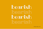 Fibonacci Heap - Slab Serif, a Slab Serif Font by erlosDESIGN (Thumbnail 10 of 12)